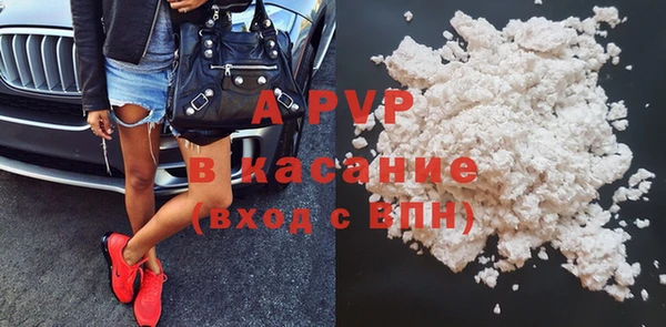ГАЛЛЮЦИНОГЕННЫЕ ГРИБЫ Инта
