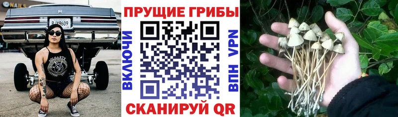 Псилоцибиновые грибы ЛСД Белинский